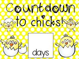 Pin On Hatching Chickens