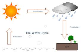 Simple Water Cycle Drawing At Getdrawings Com Free For