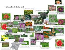 How To Design A Small Vegetable Garden Rain Garden Design Rain Garden Annual Plants