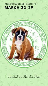 Your Dog S Weekly Horoscope 2020 March 23 29 Dog Horoscope Dog Zodiac Your Dog
