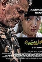 Eye of the Pangolin (Video 2019)