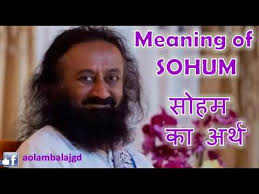 Meaning Of Sohum Guruji Sri Sri Ravi Shankar Youtube Stability, sameness, regular, rules, condition, responsibility, routine, frame.