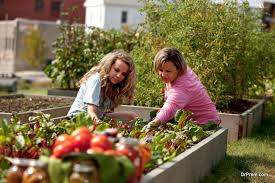 Because organic gardening eliminates chemical pesticides and fertilizers, right from the start you are handling fewer chemicals. 8 Benefits Of Eating Homegrown Fruits And Vegetables