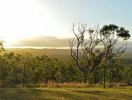 An australian made website for mareeba that benefits locals, tourism and business. Mareeba Caravan Park Mareeba S Best Camping 0400 978 311