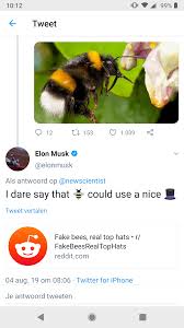 Here are some good truth questions you can try. Musk Is Actually A 12 Year Old Without Enough Parental Supervision Ihavereddit