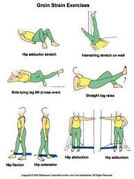 Groin Sprain Exercises Exclusive Physiotherapy Guide For Physiotherapy Students Exercise Physical Therapy Exercises Physical Therapy Physiotherapy Student