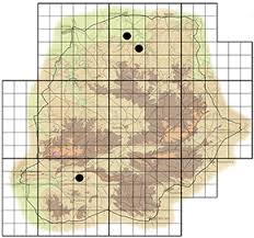 Image result for Commiphora tenuipetiolata