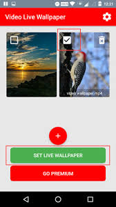 how to set video or gif as wallpaper on