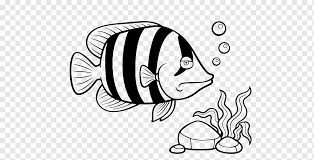 Gambar mewarnai ikan mas koki. Ikan Mas Menggambar Ikan Air Tawar Angelfish Ikan Putih Mamalia Hewan Png Pngwing