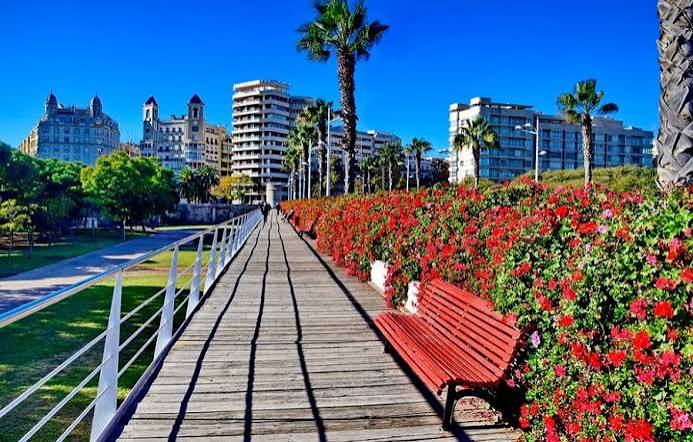 Puente de las Flores y Paseo de la Alameda: Flores, Paseo y Relax Urbano