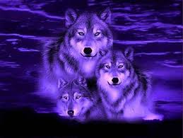 We have a massive amount of hd images that will make your computer or smartphone look absolutely fresh. Page 23 Hd Fantasy Wolf Wallpapers Peakpx