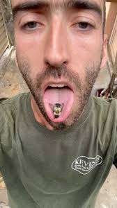 Jersey Star (@jersey__star) • Фото и видео в Instagram