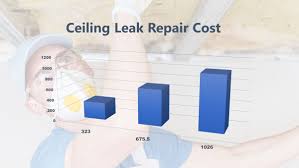Check spelling or type a new query. Ceiling Leak Repair Cost 2019 Articles321