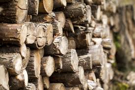 Find out the benefits of using dry wood and how to season it fast. How To Stack Store Your Firewood