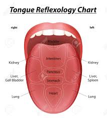 tongue reflexology chart with description of the corresponding