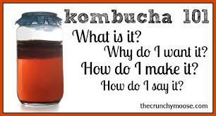 You Searched For Kombucha The Crunchy Moose How To Brew Kombucha Kombucha Kombucha Recipe