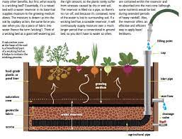 Self watering wicking garden bed. Wake Up To Wicking Beds Pressreader