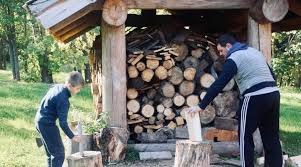 Build a firewood shed to keep your firewood dry and ready. J6kv9qaxouk Im