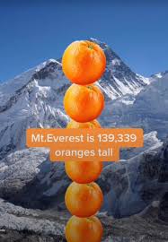 Request Is This Accurate If Not How Many Oranges Would It Have To Be Theydidthemath