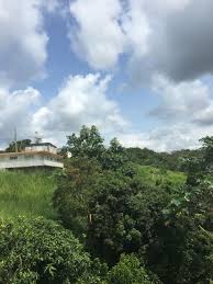 Save big with exclusive rates. La Teja In Humacao Pr My Island Humacao Puerto Rico