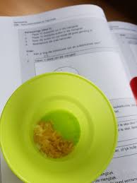 3 the earth and the sun. Graad 6 E Leer Van Prestige Leersentrum Impaq Facebook