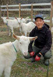 播磨びと＞上郡町地域おこし協力隊員 岡部強志さん(46)ヤギで除草、ミルクで特産品…広がる夢|西播|神戸新聞NEXT