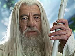 Joe Horn's Prime Pix Gallery