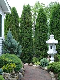Conifer Garden Ideas Conifer Garden At Pines Nursery Conifer Garden Design Ideas Australia Conifers Garden Urban Garden Backyard Landscaping