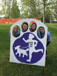 Every teenager who lives in simi valley dreams of leaving simi valley for good. 900 Relay 4 Life Ideas Relay For Life Relay Life