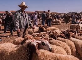 But when ibrahim was about to sacrifice his son, god —impressed with ibrahim's faith — provided a sacrificial ram in the boy's place. Saudi Arabian Officials Announce 2021 Dates For Eid Al Adha Youm Arafah
