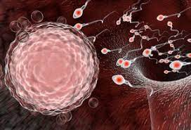 12 Effective Ways On How To Increase Cervical Mucus
