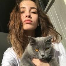 Stream Read pdf Jim Pickrell's Personal Guide to Mexico City 2017: 185  color photos, with history, hote by Heavenelliotmariaiyi