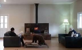 They recognize that not all dogs can be in massive packs running around all day with little supervision. Bark Avenue Luxury Pet Resort 281 Bungower Rd Moorooduc Vic 3933 Australia