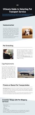 Maybe you would like to learn more about one of these? 400 Airvets Pet Relocation Ideas Pet Relocation Pet Shipping Pet Transport