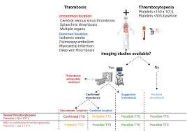 Check spelling or type a new query. Https Apps Who Int Iris Bitstream Handle 10665 342999 Who 2019 Ncov Tts 2021 1 Eng Pdf