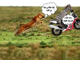 اجمل واحدث صور مضحكة للضحك 2020 اجمل 100 صورة مضحكه the most funny pictures صورمضحكة جميلة حلوة روعه صور مضحكة عن الكورونا صور انمي مضحكة صور مضحكة عن كورونا صور مضحكة 2020 عالم الصور المضحكة والجميلة اقوى الصور المضحكة في العالم. ØµÙˆØ± Ø­ÙŠÙˆØ§Ù†Ø§Øª Ø¹Ù„ÙŠÙ‡Ø§ ØªØ¹Ù„ÙŠÙ‚Ø§Øª Ù…Ø¶Ø­ÙƒØ© ØµÙˆØ± Ù…Ø¶Ø­ÙƒØ© Ù†ÙƒØª ÙÙŠØ³ Ø¨ÙˆÙƒ ÙˆØ§ØªØ³ Ø§Ø¨ Ø§Ù†Ø³ØªÙ‚Ø±Ø§Ù… Funny Images