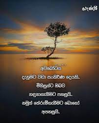 Maybe you would like to learn more about one of these? 869 Likes 2 Comments Arundathi à¶…à¶» à¶± à¶¯à¶­ Arundathi Lk On Instagram Girly Attitude Quotes Crazy Girl Quotes Jokes Photos