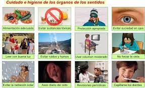 Como Cuidar Los Cinco Sentidos Cinco Sentidos