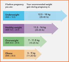 51 Meticulous Proper Weight Gain During Pregnancy Chart