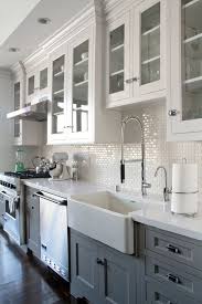 kitchen with gray cabinets: why to