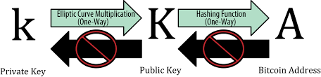 • how does a cryptocurrency wallet work? 4 Keys Addresses Wallets Mastering Bitcoin Book