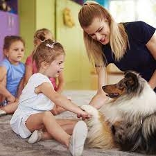 Therapy Dog Certification And Training: What You Need To Know | Petco