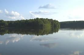 Find homes and property for sale on united states lakes at lakehomes.com, the best source for lake home real estate. Big Sky Estates On Dale Hollow Lake Tennessee Tn Lakefront Real Estate Information