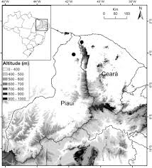 Image result for Hexasepalum sarmentosum