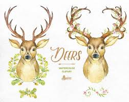 Deers Watercolor Deers With Antlers Hand Painted Clipart Etsy Clip Art Antlers Watercolor