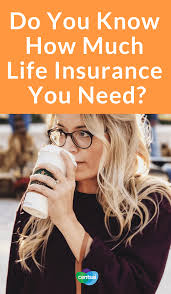 Life insurance and annuities provided by usaa life insurance company, san antonio, tx and in new york by usaa life insurance company of new york, highland falls, ny. How Much Life Insurance Should You Have Centsai