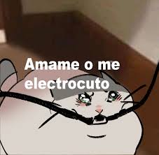 El muchacho de los ojos tristes jeanette. Ka On Twitter El Muchacho De Los Ojos Tristes Cat Chase Edition Https T Co O8km6urxa4 Twitter