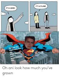 (l) what is the utility of a norm of jus cogens (apart from its rhetorical value as a sort of exclamation. It S A Bird It S A Plane Not Just The Superman But The Superwomen And Superchildren Too Oh Ani Look How Much You Ve Grown Superman Meme On Me Me