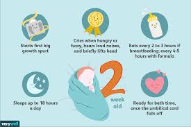 your 2 week old baby development milestones