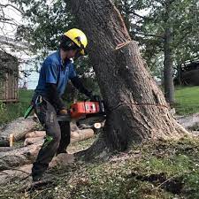 images?q=tbn:ANd9GcTHa8xgQYBWVlmyk1kRx5c_BLrIv-tMVD-qYpQTvxpkvDN7uHTcM6UMk5K6xtl6NrWjir4&usqp=CAU